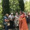 makovea2018 10_ 